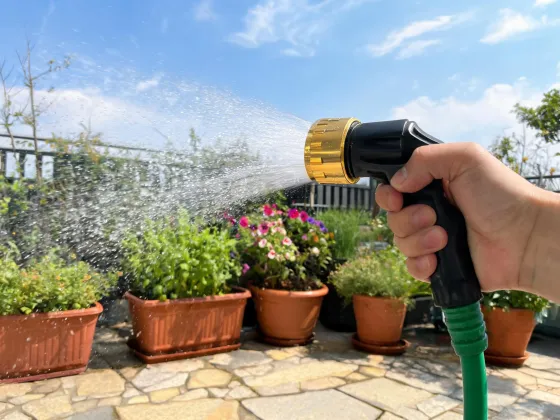Hand watering nozzle for containers